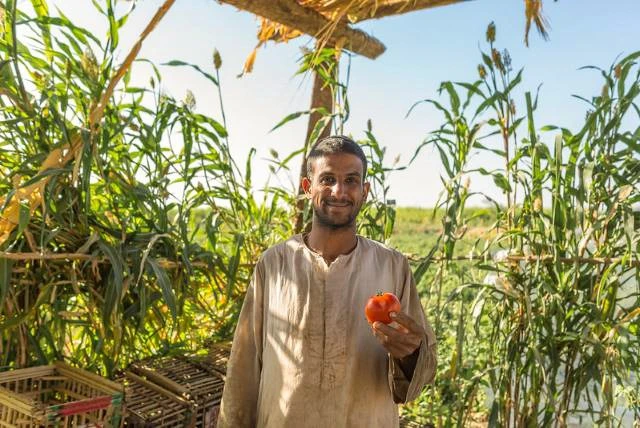 Traveler in a galabya baking feteer with an Egyptian farming family