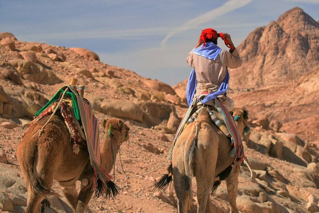 sinai-mountain-sunrise-hike-egypt